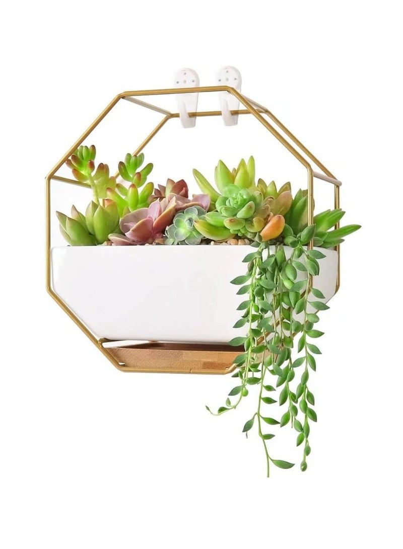 Y&D Modern Wall Planter, Metal Wire Octagon Design Wall-Mounted Shelves with Ceramic Flower Pot, Air Plant Container Hanging Vase Desktop Succulents Planter-Golden - Image 1
