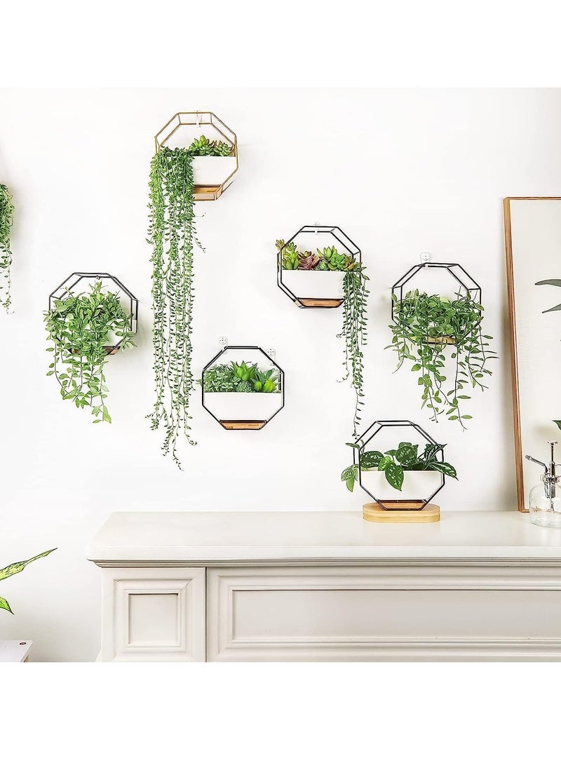 Y&D Modern Wall Planter, Metal Wire Octagon Design Wall-Mounted Shelves with Ceramic Flower Pot, Air Plant Container Hanging Vase Desktop Succulents Planter-Golden - Image 3