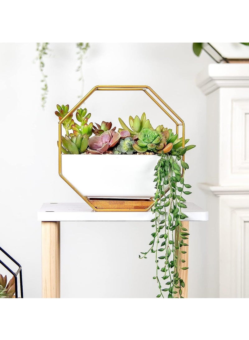 Y&D Modern Wall Planter, Metal Wire Octagon Design Wall-Mounted Shelves with Ceramic Flower Pot, Air Plant Container Hanging Vase Desktop Succulents Planter-Golden - Image 2