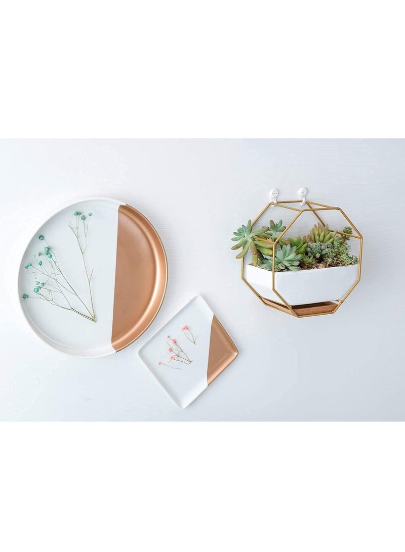 Y&D Modern Wall Planter, Metal Wire Octagon Design Wall-Mounted Shelves with Ceramic Flower Pot, Air Plant Container Hanging Vase Desktop Succulents Planter-Golden - Image 4