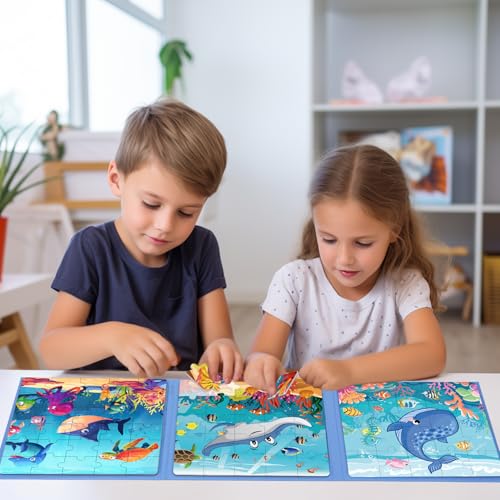 Ranqibo Magnetic Puzzles for Toddlers 35 75Pieces Travel Toys Sea Puzzles Ages 46 Educational Learning Magnets Road Car Trip Airplane Activities Toys for 3 4 5 6 7 Girls Boys Gift - Image 5