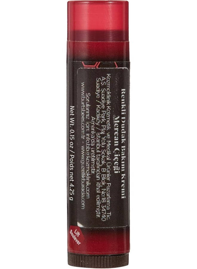 Burt's Bees, Lip Balm Tinted Daisy, 0.15 Ounce - Image 2
