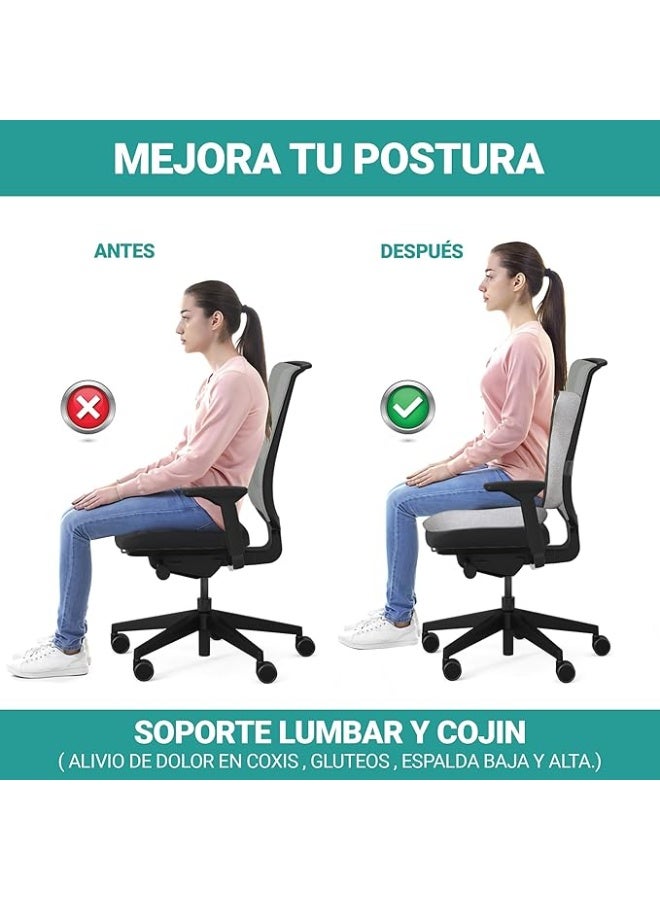 طقم وسادة طبية للعصعص ودعم أسفل الظهر (لومبار) - ميموري فوم عالي الكثافة - جودة ممتازة لتخفيف آلام الظهر والبواسير ومقعد المكتب - Image 2