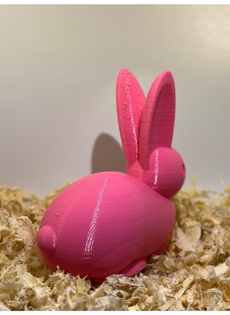 Epm3d Rabbit(Made from Organic Plastic)  - Image 2