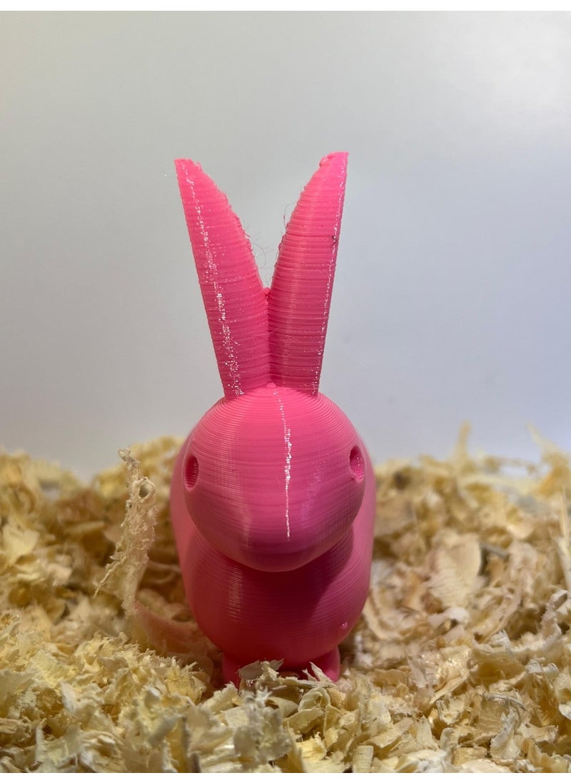 Epm3d Rabbit(Made from Organic Plastic)  - Image 3