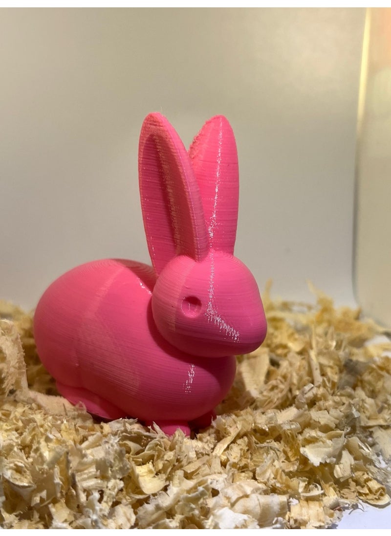 Epm3d Rabbit(Made from Organic Plastic)  - Image 4
