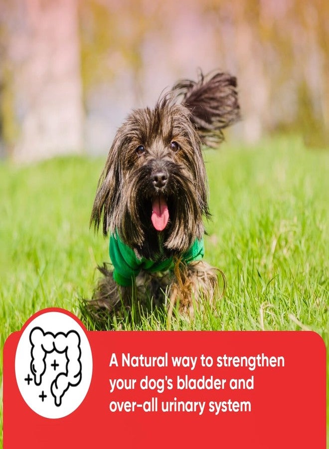 iHeartDogs Extra Strength Urinary, Bladder, & Kidney Support for Dogs – Cranberry, D-Mannose & Echinacea Helps Maintain Urinary Tract Health, Strengthens Weak & Incontinent Bladder - Image 4