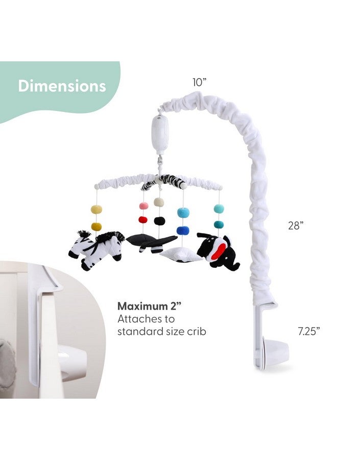 The Peanut Shell موبايل سرير الأطفال من بي نات شيل للأولاد والبنات، موسيقي، موبايلات حضانة مونتيسوري، ديكور سرير باللونين الأسود والأبيض، موبايل عالي التباين، ألعاب سرير معلقة، ملحقات سرير للأولاد - Image 4