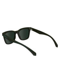 Calvin Klein Jeans FULL RIM BIO INJ-G820 INJECTED CALVIN KLEIN JEANS SUN CKJ24301S 4816 (309) KHAKI  - Image 5