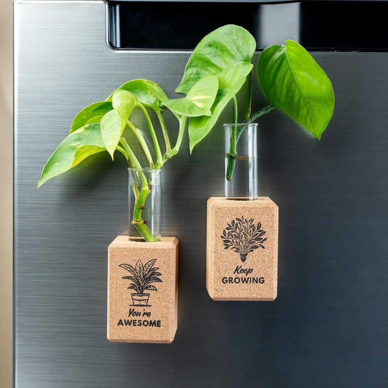 Artmansha Artmansha Positive Affirmation Fridge Planters Set of 2 Tiny Flower Vase Cute Home Decor Quirky Birthday Gift Gift for Friends Small Size 75 cm - Image 1