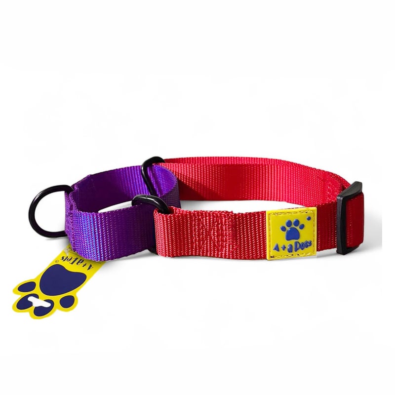 A+a Pets Martingale Dog Collar | No Pull Design, No Neck Strain, No Choke Design | for Large & Medium Dogs | Rust Free, Waterproof Nylon Training Collar (Red & Purple), 20 x 2.5 cm - Image 1