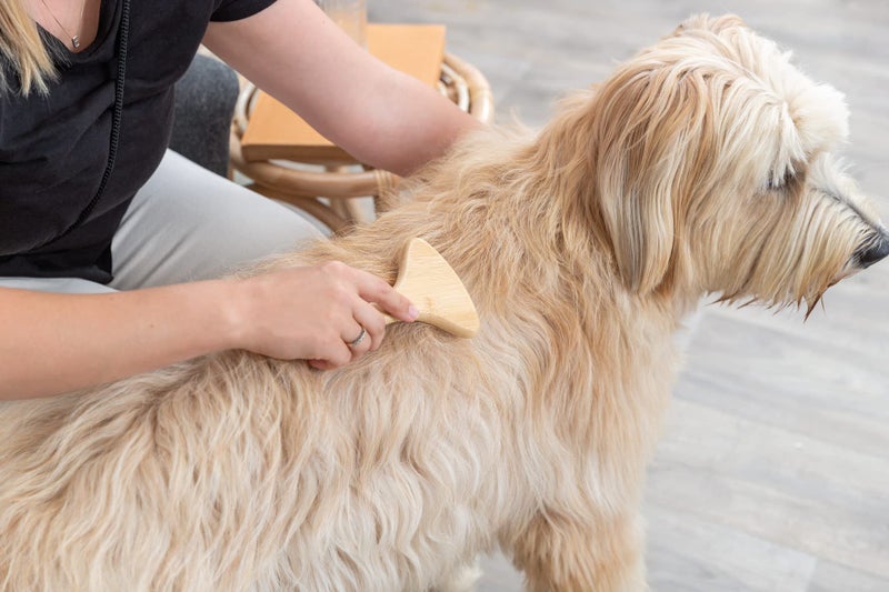 Trixie Long Hair Coat Untangler For Pets, Base Coat Care, Bamboo Metal Handle, Detangle For Short Hair Dog Breeds, Smooth Cat Fur Metal Teeth Length - 2.5cm, 10 X 17 Cm, Bamboo/Metal - Image 5