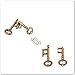 Sujosa 2 Pair Sets of Metal Brain Teaser Puzzle Keys Assembly Disentanglement Puzzles IQ Logical Games Fidget Stress Gift for Adults - Image 4