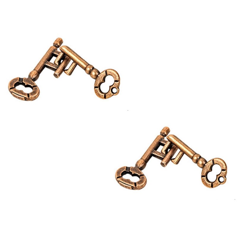 Sujosa 2 Pair Sets of Metal Brain Teaser Puzzle Keys Assembly Disentanglement Puzzles IQ Logical Games Fidget Stress Gift for Adults - Image 3