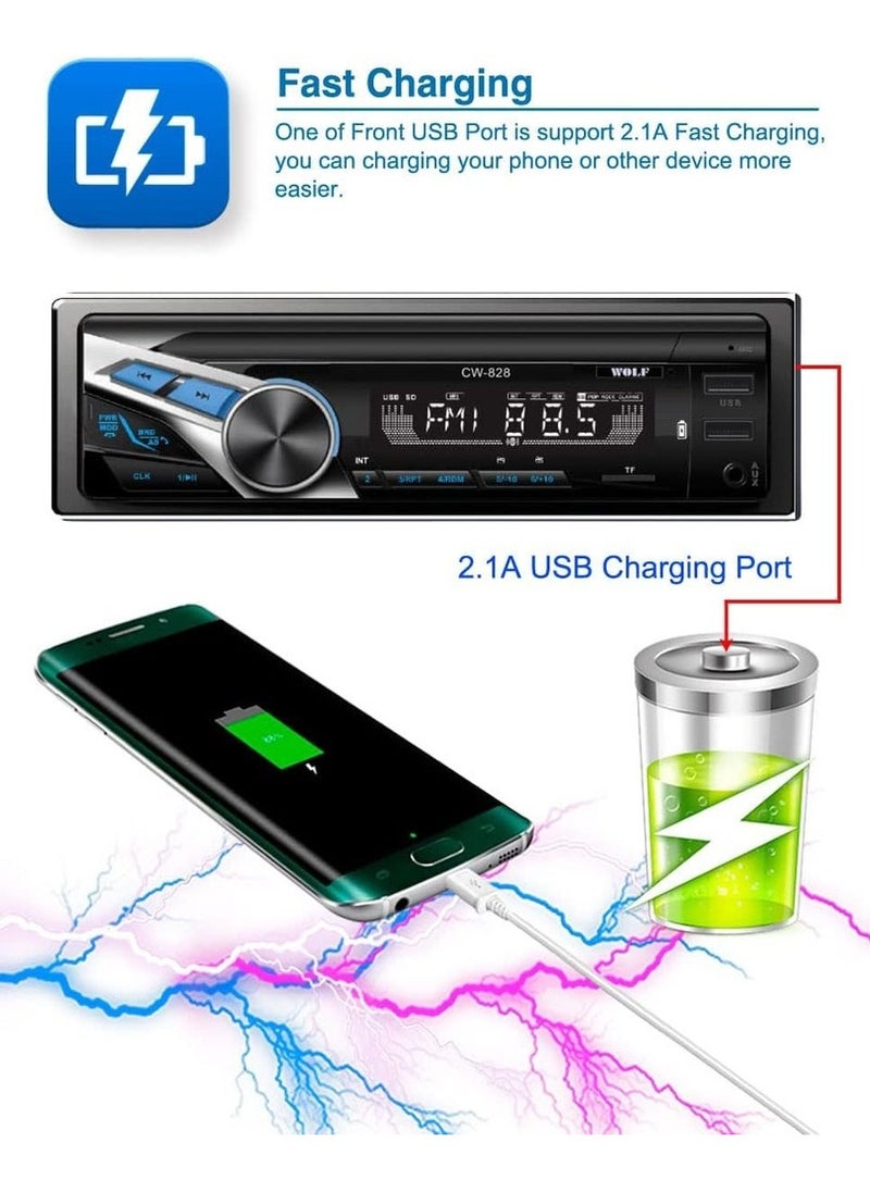 وولف كاسيت بلوتوث للسيارة – CW 828  - Image 4