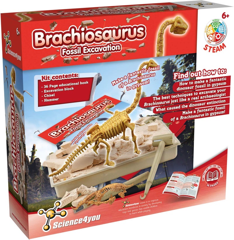Science4you Brachiosaurus Dinosaur Fossil Digging Kit - Excavate and Assemble 11 Pieces Dino Bones, Archeology, Paleontologist + Dinosaurs for Kids, Stem Toys for Girls and Boys 6 7 8 9+ Years Old - Image 5