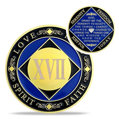 IELCJJ 17 Year NA Medallions - Recovery Narcotics Anonymous Chips - 17 Year Living Clean Sobriety Coin - (Years 1-30) Journey Celebrate Recovery Addicts - Narcotics Anonymous Gifts for Men Women - Image 1