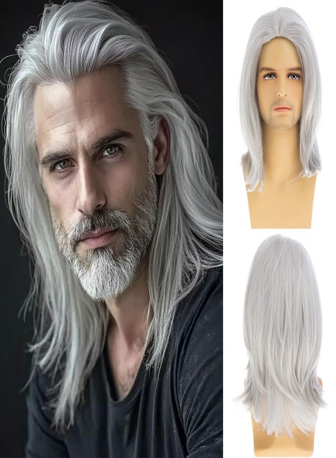 Dsimeig Mens Grey White Wig Medium Long Straight Synthetic Natural Cosplay Halloween Costume Party Wig,16inch - Image 1