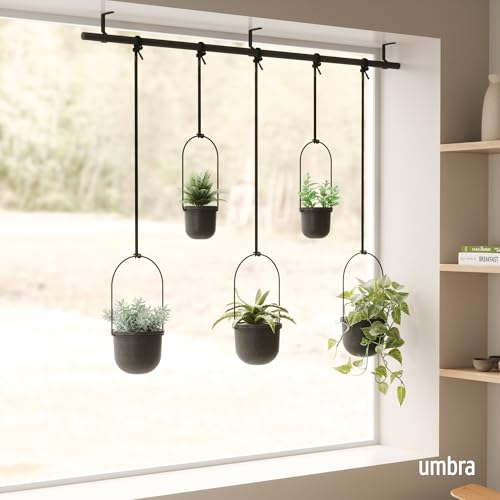 Umbra Triflora Hanging Planter for Window Indoor Herb Garden Set of 5 Black - Image 3