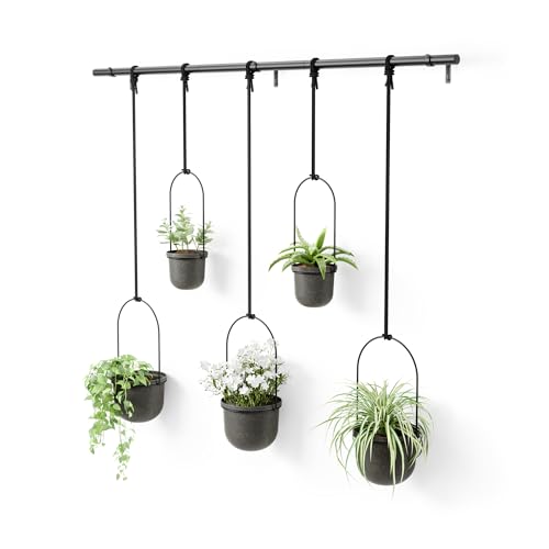 Umbra Triflora Hanging Planter for Window Indoor Herb Garden Set of 5 Black - Image 1