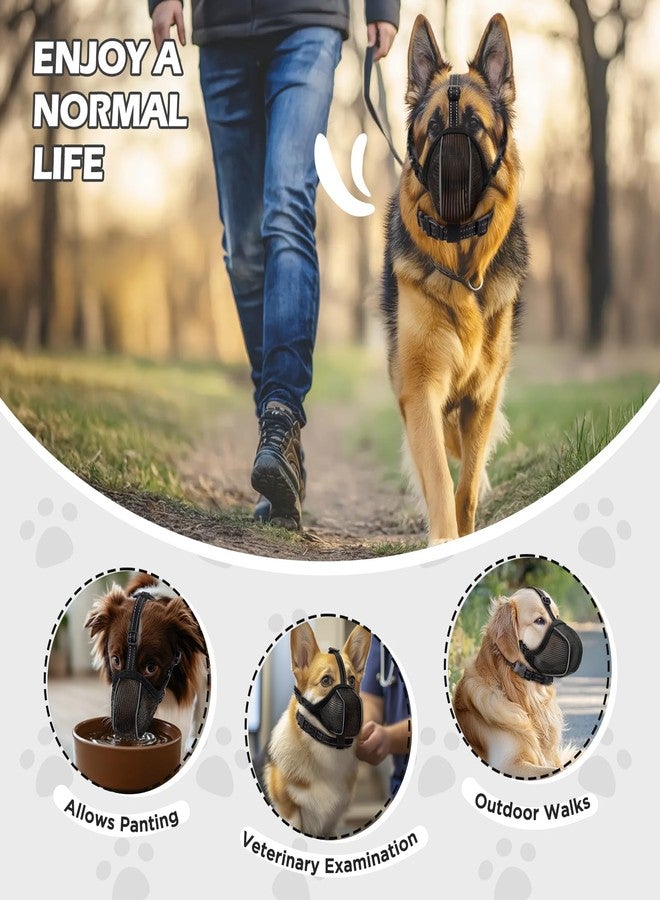 BONTHEE Dog Muzzle,Mesh Soft Muzzle for Small Medium Large Sized Dogs, Adjustable Puppy Muzzles with Collar Prevents Chewing,Biting & Scavenging | Allows Panting, Drinking & Grooming (M) - Image 4