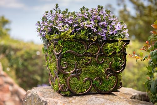 SuperMoss (21588) Sheet Moss Preserved, Natural, 5 Pounds (20-24 sq. ft.) - Image 4