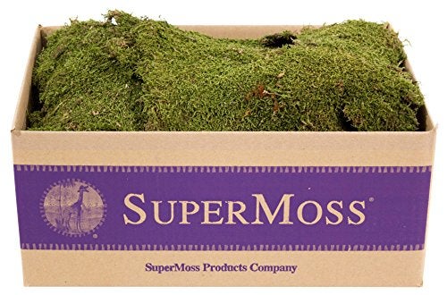 SuperMoss (21588) Sheet Moss Preserved, Natural, 5 Pounds (20-24 sq. ft.) - Image 1