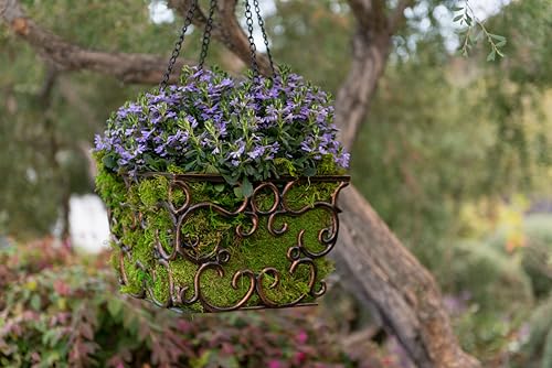 SuperMoss (21588) Sheet Moss Preserved, Natural, 5 Pounds (20-24 sq. ft.) - Image 5