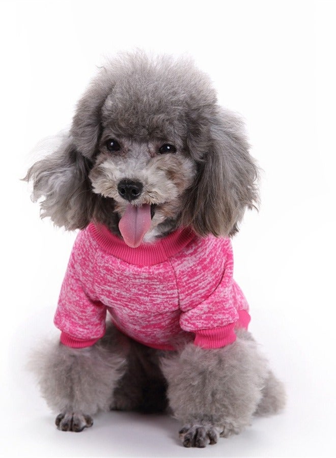 Loquat Squality Pet Dog T-shirt Clothing Autumn And Winter - Image 1