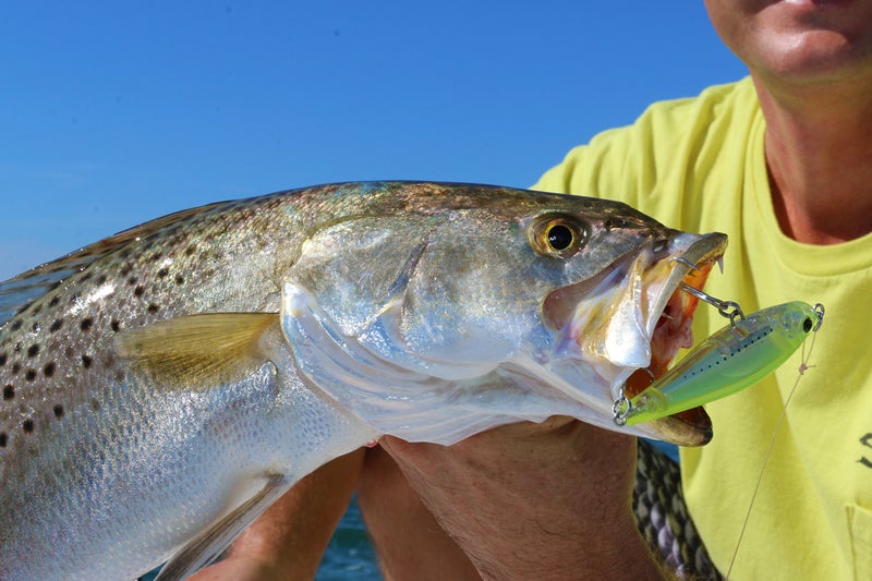 Yo-Zuri R1207-C5 3D Inshore Twitchbait, Color, Red Head, 70mm 2-3/4" - Image 5
