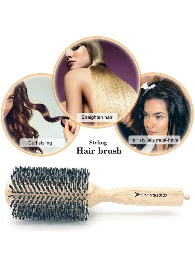 SUNBIRD Hair Brush Professional Round Brush For Drying Increase Volume And Shine Precise Hair Styling And Salon Hair Drying Essential Tools (Large) - Image 2