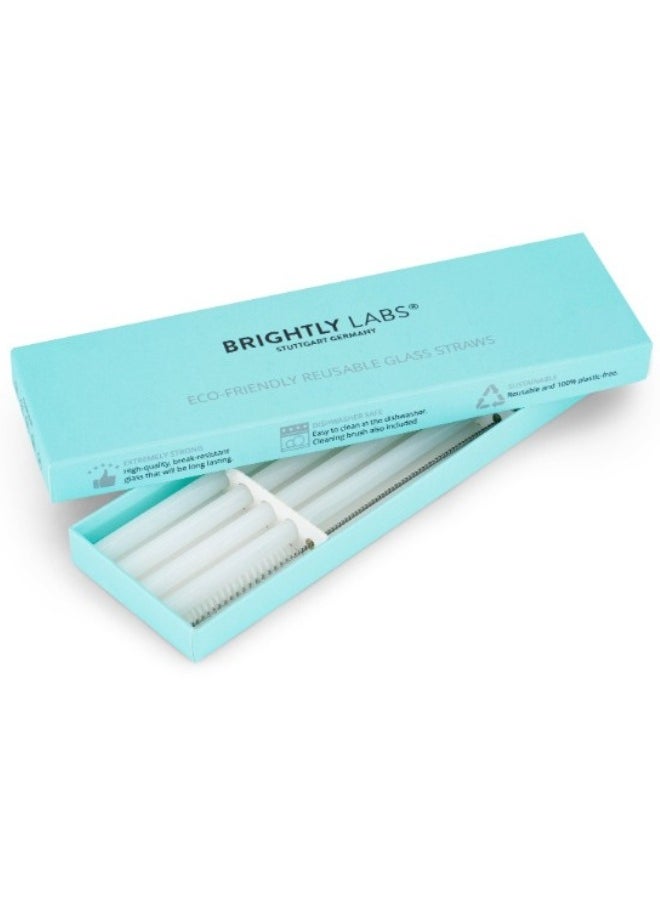 BRIGHTLY LABS Stainless Steel Reusable Drinking Straws Set of 4 with Cleaning Brush - Eco-Friendly Metal Straws for Drinks, Cocktails, Smoothies - Durable, Hygienic, and Sustainable Alternatives to Plastic  - Image 5