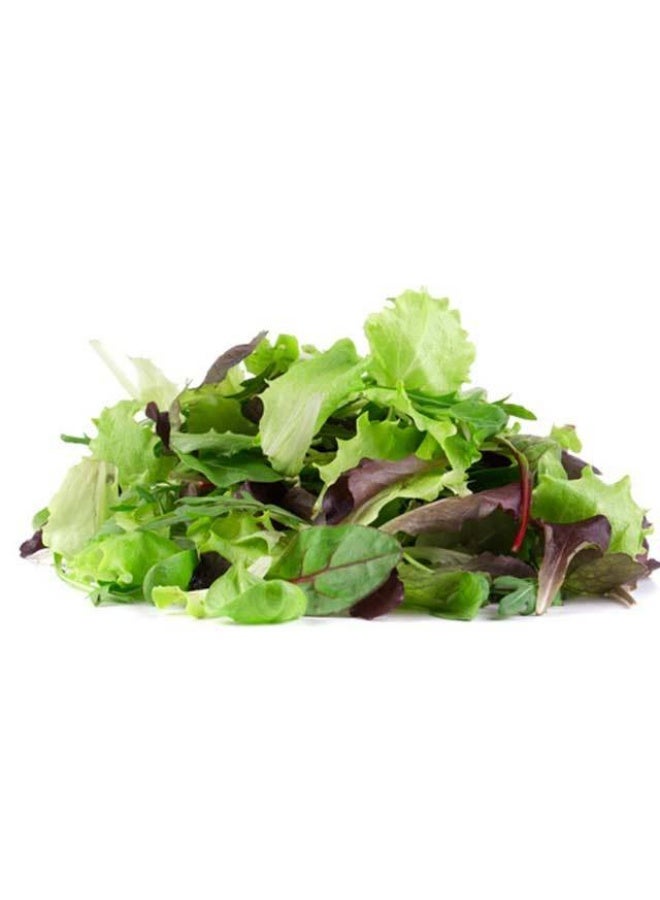 Mixed Lettuce , 125g, Italy