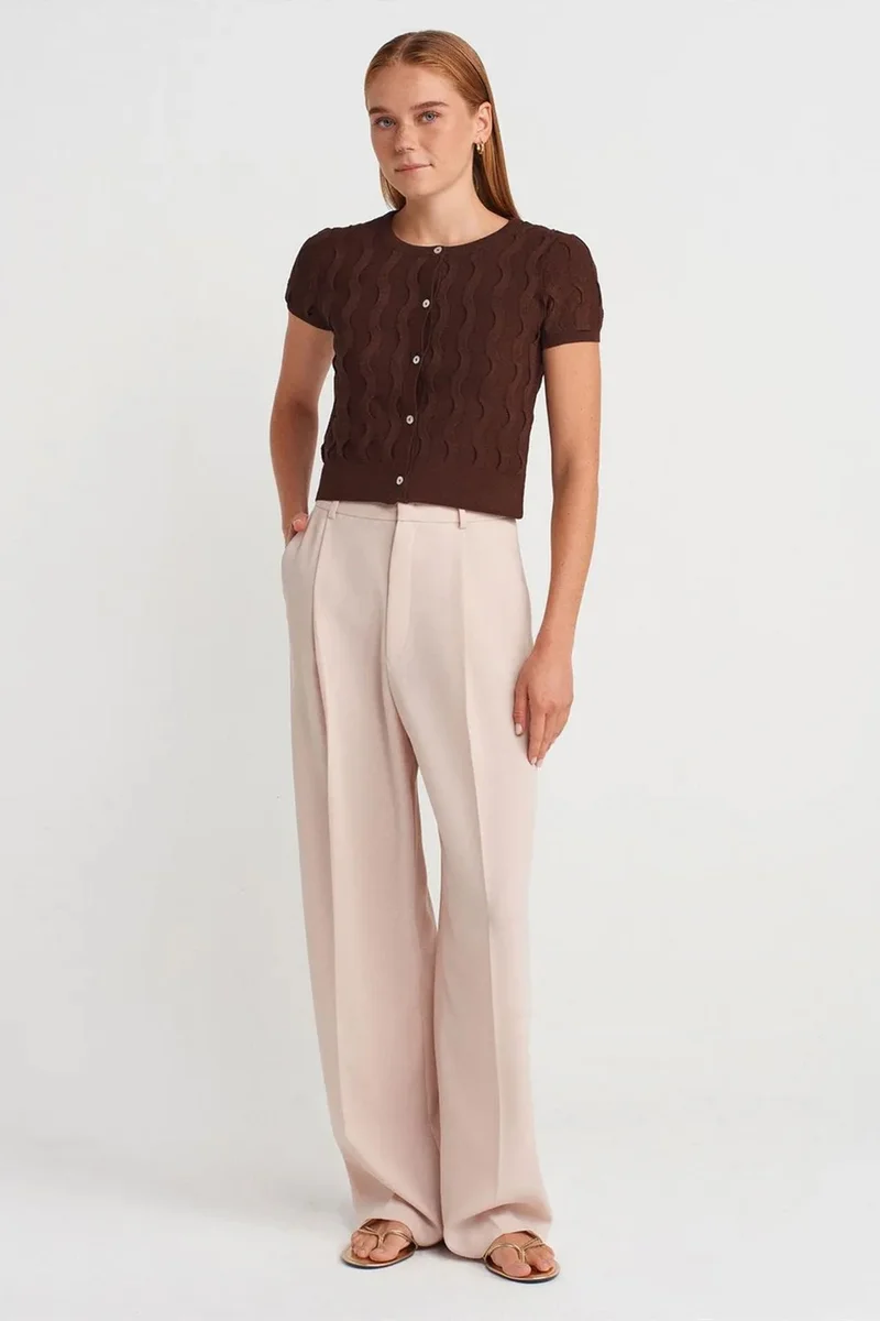 Dilvin Chestnut Brown DILVIN Women's Cropped Jacquard Button Cardigan for Women | Best Price UAE