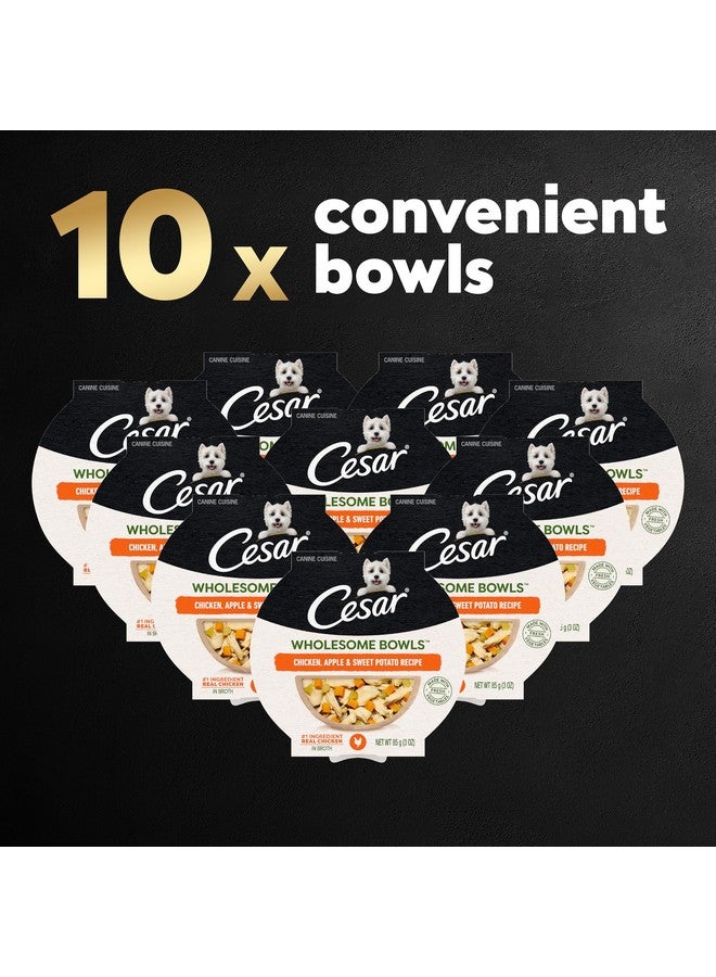 CESAR WHOLESOME BOWLS Adult Soft Wet Dog Food Chicken, Apple & Sweet Potato Recipe, (10) 3 oz. Bowls - Image 1