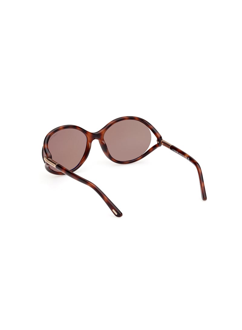 TOM FORD Women's Round Shape  Sunglasses FT109053E59 Lens Size: 59 Millimeter - Blonde Havana - Image 5