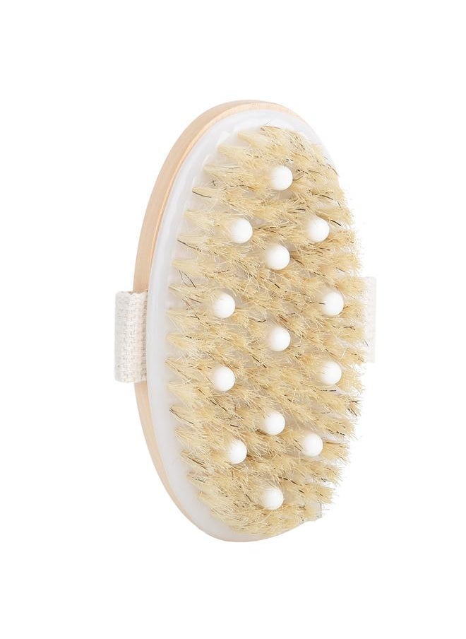 Thoraya 2 in 1 Professional Oval Bathing Brush Head Shower Massage Cleaning Brush Head Primary ColorPrimary Color  - Image 2