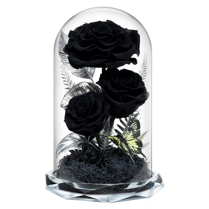 Tyvouflo Forever Flowers in Glass Dome Preserved Roses for Her Women Valentines Day Mothers Day Anniversary AGrade Black Roses Home Decor for Girlfriend Wife Sister Mom Black - Image 2