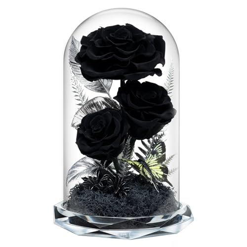 Tyvouflo Forever Flowers in Glass Dome Preserved Roses for Her Women Valentines Day Mothers Day Anniversary AGrade Black Roses Home Decor for Girlfriend Wife Sister Mom Black - Image 1