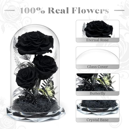 Tyvouflo Forever Flowers in Glass Dome Preserved Roses for Her Women Valentines Day Mothers Day Anniversary AGrade Black Roses Home Decor for Girlfriend Wife Sister Mom Black - Image 3