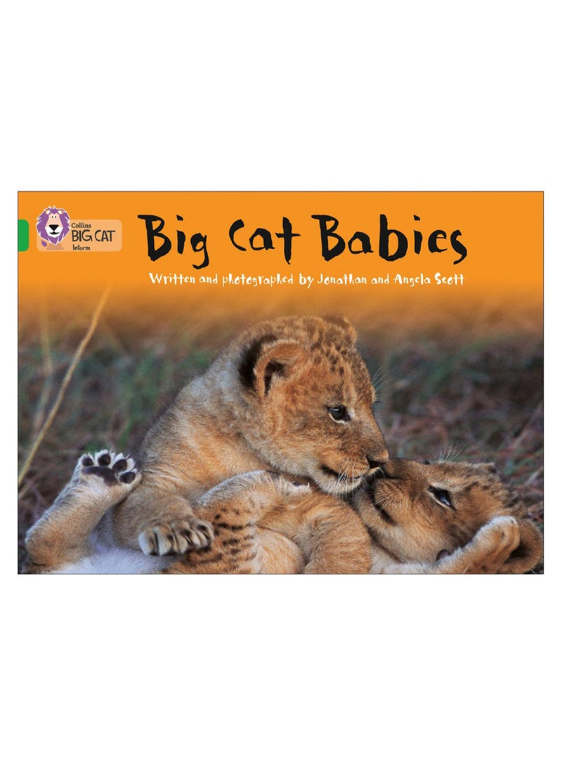 Big Cat Babies 