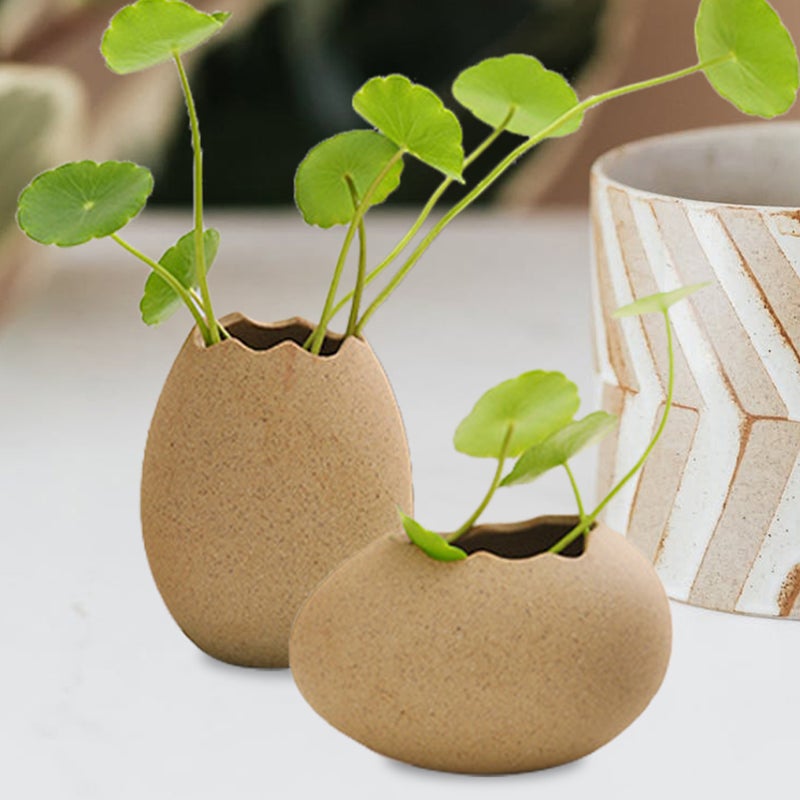 🌱 وعاء صغير سيراميك شكل قشرة بيضة متعدد الألوان للمنزل والاستخدام الخارجي - Image 5