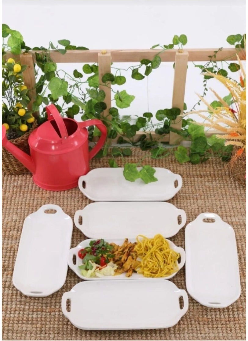 Devigo 2 Pieces Chicken World Model Serving Plate Presentation Plate 34X16 cm  - Image 2
