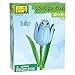 Brickcraft Bricktanicals Blue Tulip Brick Building Set 37 Piece Single Stem Botanical Flower Model Ages 8 Collectible Brick Flower Build Compatible with Brick Flowers Spring Gift for Kids - Image 4