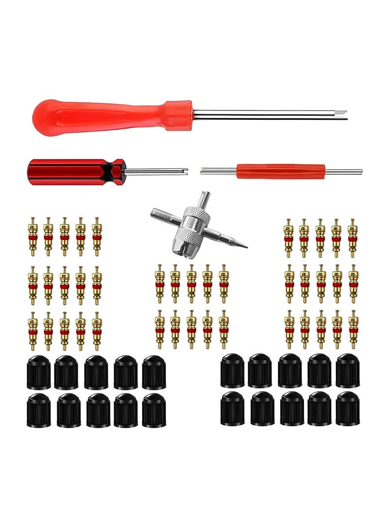 أداة إزالة وتركيب ساق صمام الإطار، مجموعة من 40 قطعة من قلوب الصمامات و 20 قطعة من أغطية الصمامات، قطعتان من أداة إزالة قلب صمام الإطار أحادية الرأس، قطعة واحدة من أداة السحب ثنائية الرأس وأداة الصمام رباعية الاتجاهات - Image 1