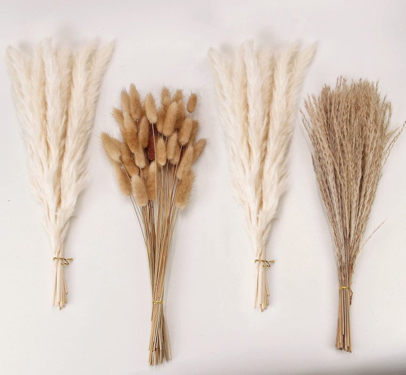 Natural Dried Pampas Grass Decor White Pampas Grass Bunny Tails Dried Flowers Reed Grass Bouquet for Wedding Boho Flowers Home Table Decor Rustic Farmhouse Party 100 in Total