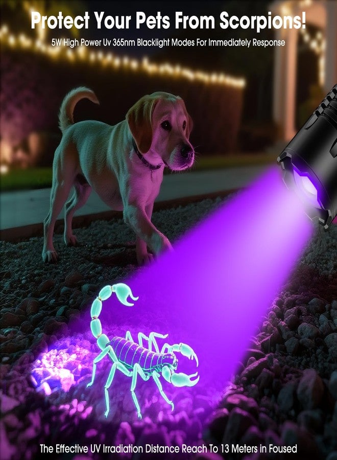 Hoxida UV Blacklight&High Lumens Flashlight Rechargeable, Powerful Blacklight Flashlights for Pet Urine Detection, Resin Curing, Scorpion, Zoomable Waterproof Tactical LED Flashlight for Camping, Emgergency - Image 3