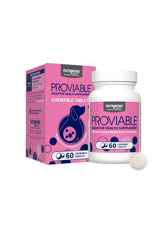 Nutramax Laboratories Nutramax Proviable Probiotics for Dogs, Daily Digestive Health Supplement with Multiple Strains of Bacteria, Dog Probiotics Plus Prebiotics, 60 Chewable Tablets  - Image 1