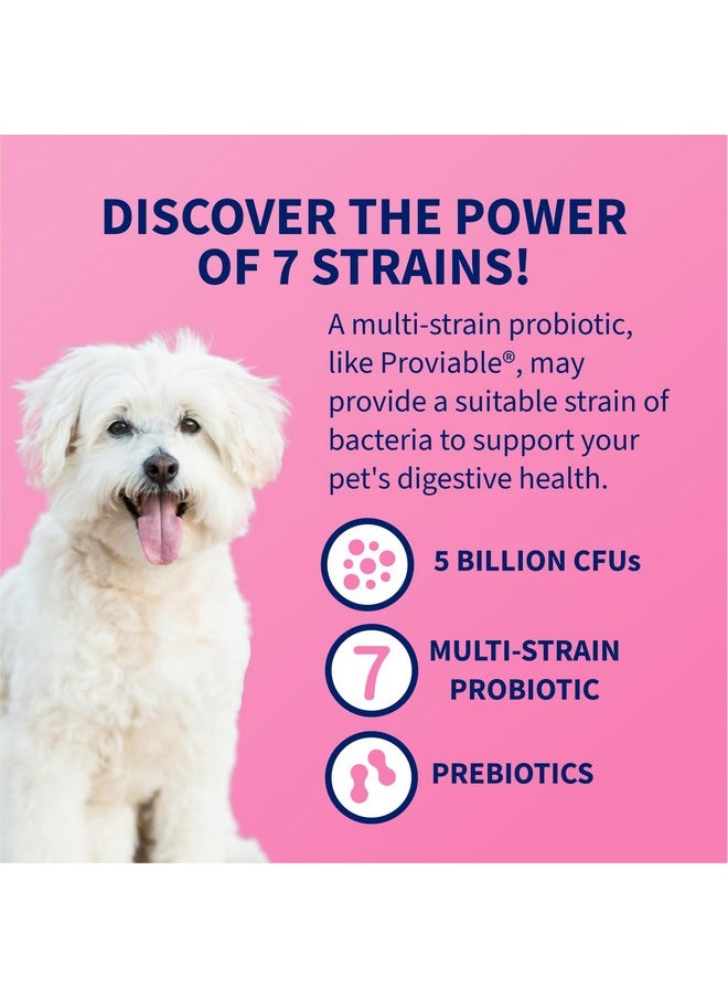 Nutramax Laboratories Nutramax Proviable Probiotics for Dogs, Daily Digestive Health Supplement with Multiple Strains of Bacteria, Dog Probiotics Plus Prebiotics, 60 Chewable Tablets  - Image 4