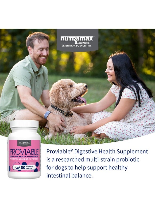 Nutramax Laboratories Nutramax Proviable Probiotics for Dogs, Daily Digestive Health Supplement with Multiple Strains of Bacteria, Dog Probiotics Plus Prebiotics, 60 Chewable Tablets  - Image 3